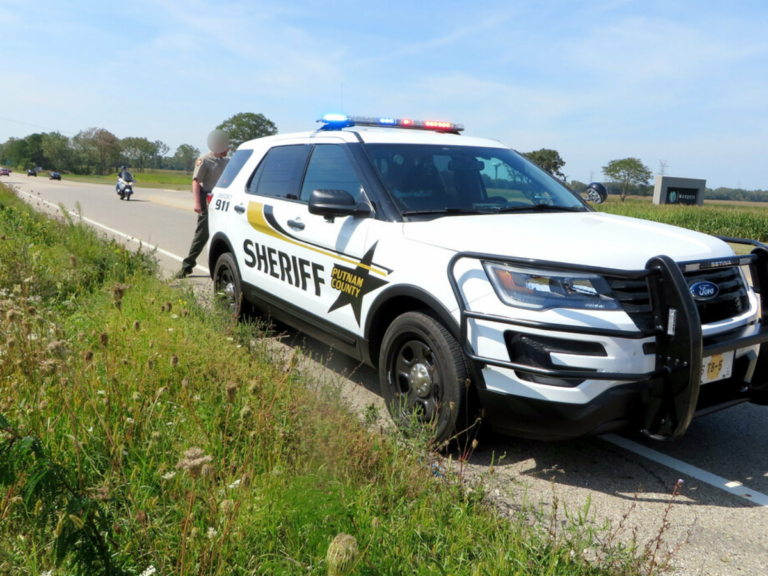 The constitutional sheriffs movement and its threat to democracy