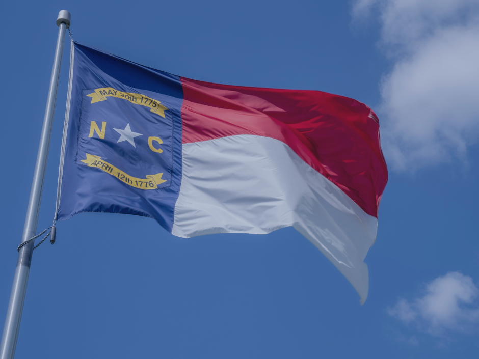 Image of the North Carolina flag with a blue filter.